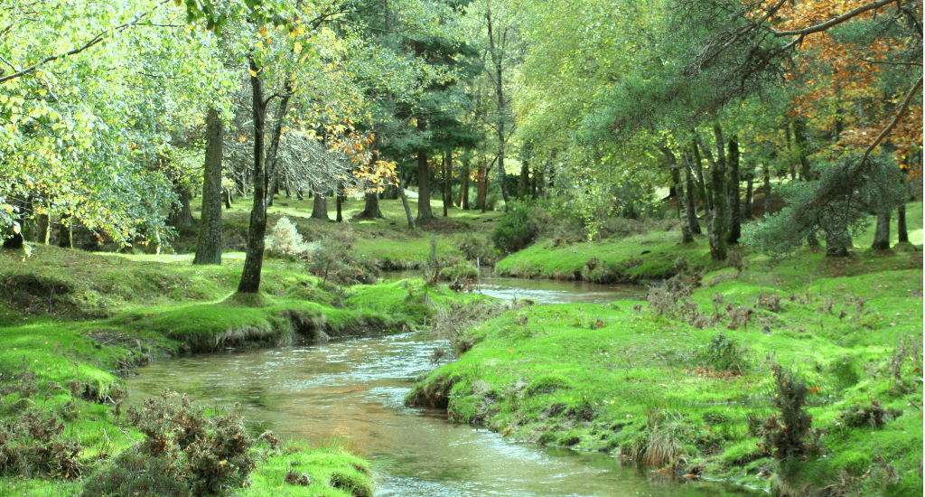 Biodiversidade tem sido uma aposta em Melgaço