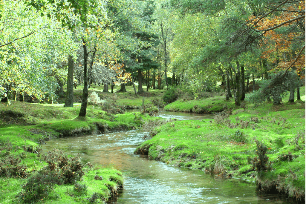 Biodiversidade tem sido uma aposta em Melgaço