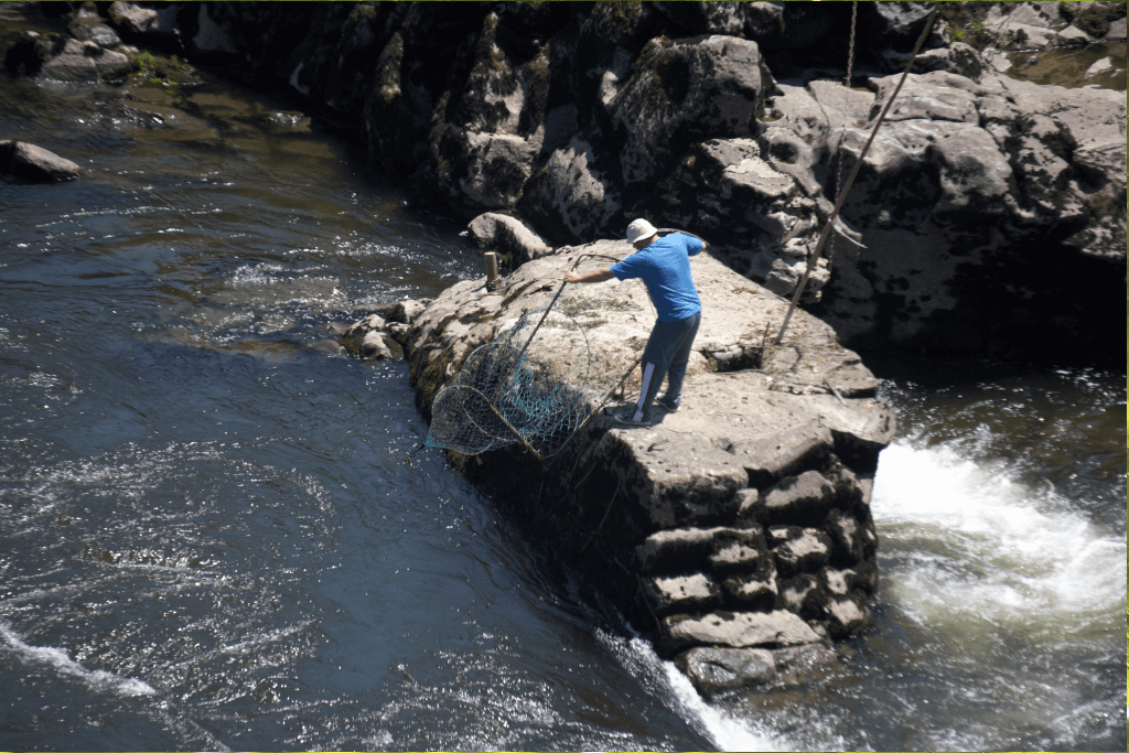 Pescadores do Rio Minho preservam saberes com Oficina de Artes de Pesca