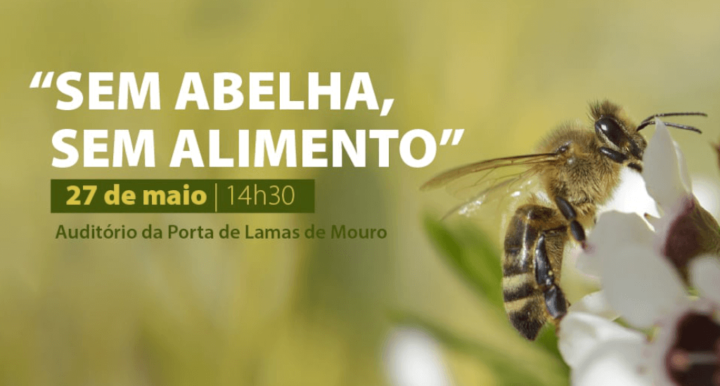 Melgaço: Projeto "Sem Abelha, Sem Alimento" alerta para a importância das abelhas