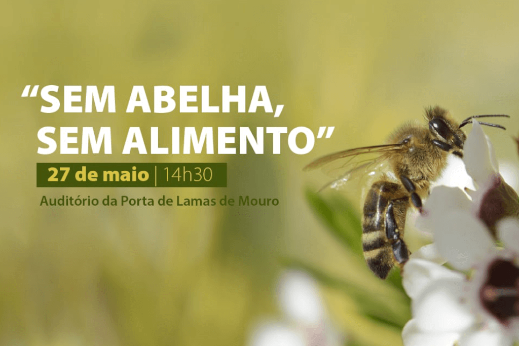 Melgaço: Projeto "Sem Abelha, Sem Alimento" alerta para a importância das abelhas