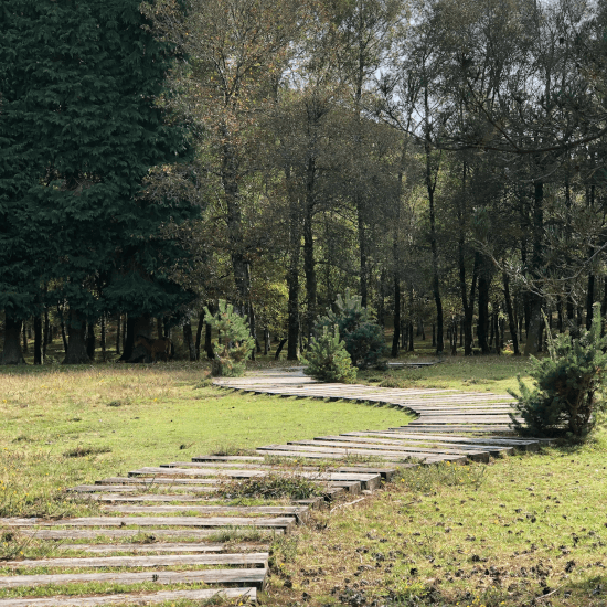 Melgaço + sustentável - dicas de sustentabilidade para as empresas