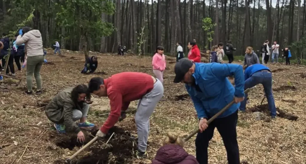 Árvores Melgaço reforçam sustentabilidade