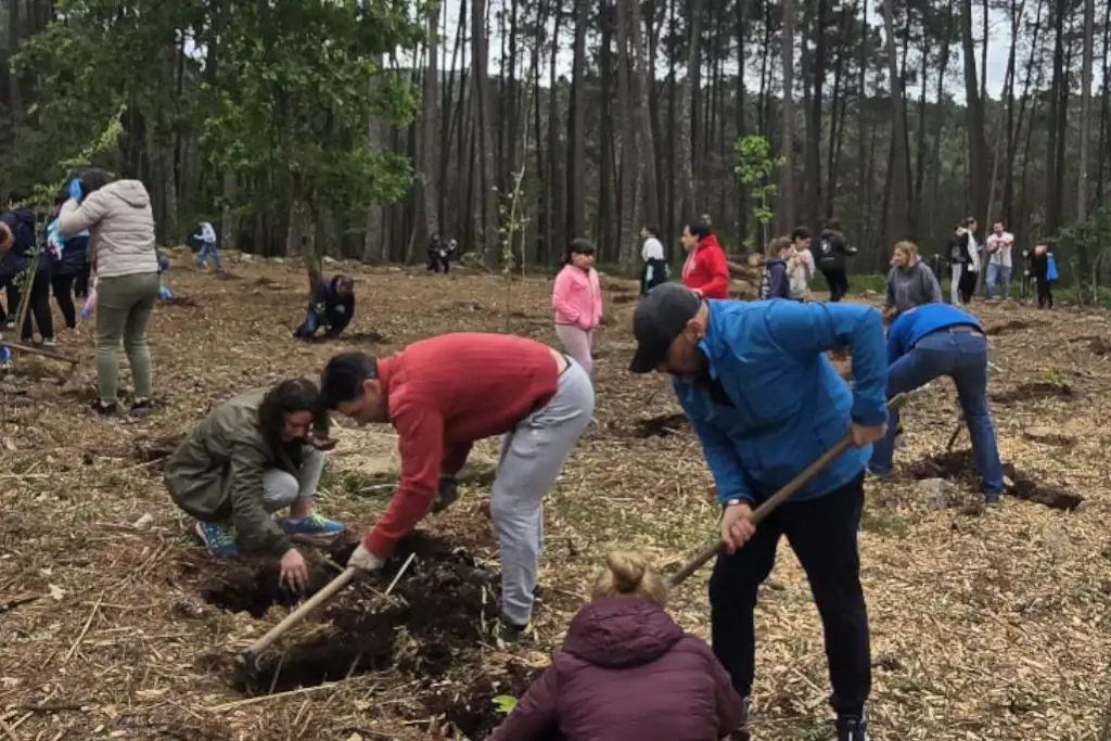 Árvores Melgaço reforçam sustentabilidade