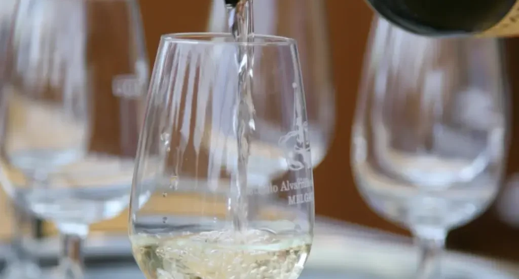 Festa do Alvarinho Melgaço com transporte gratuito